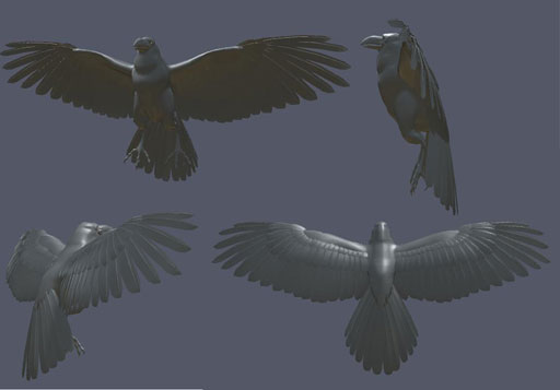 3D Raven Model Modeled and Animated in Maya 